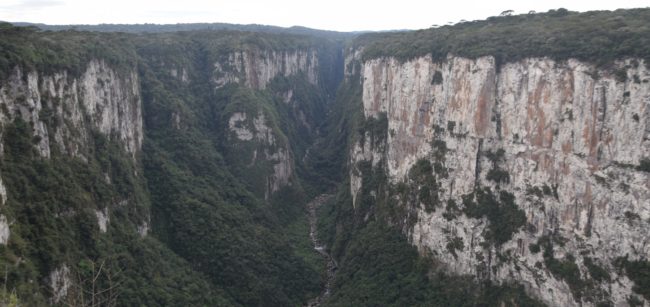 DSC_3214-