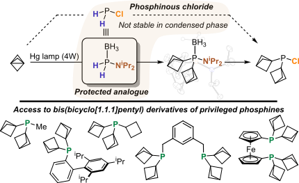 chlorophos