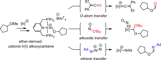 grptransf
