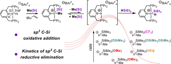 silyl
