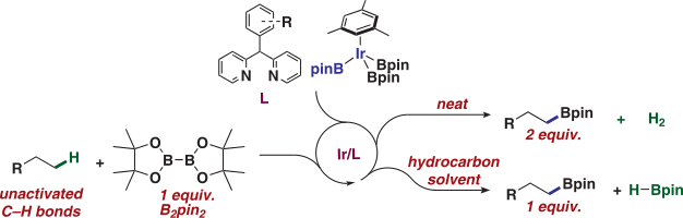 synpac