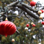Holidays at Vanderbilt