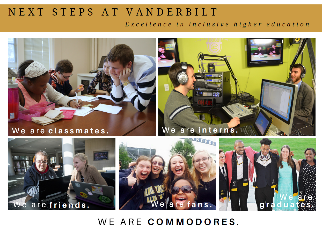 nextstepsvandy