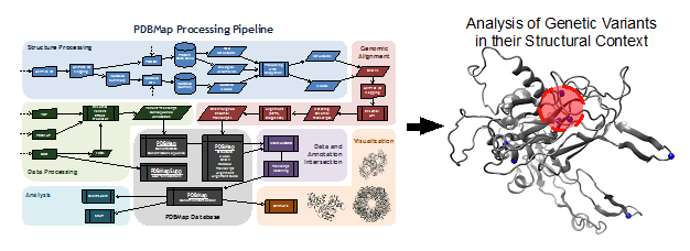 Personalized Structural Biology – Applying structural and genomic ...