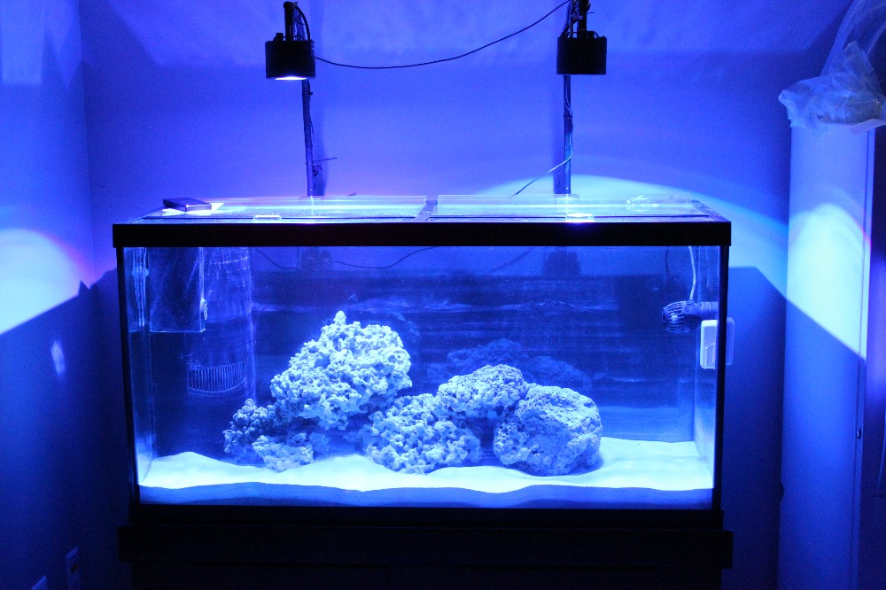 AQUARIUM PICTURE 1