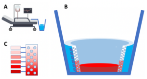 Design Schematic1