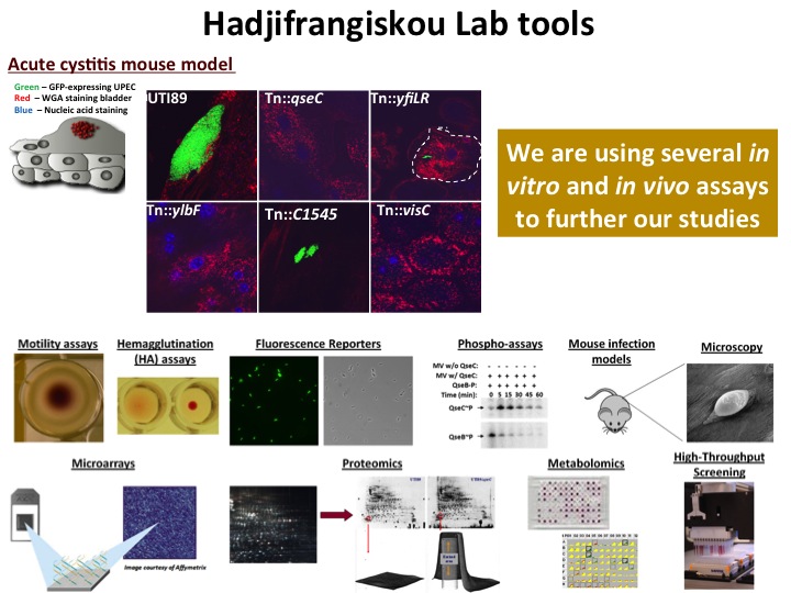 Slide10